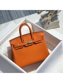 Hermes Birkin 25cm Bag in Togo Calfskin Orange/Gold 2022