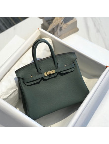 Hermes Birkin 25cm Bag in Togo Calfskin Almond Green/Gold 2022