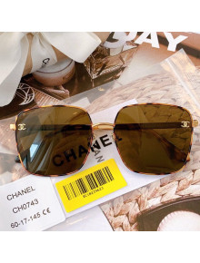 Chanel Sunglasses CH0743 2022 01