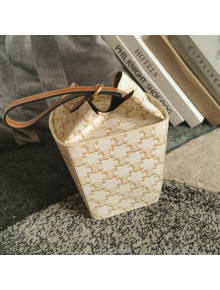 Celine Strap Box Mini Bag in Triomphe Canvas and Calfskin White 2021