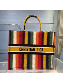 Dior Large Book Tote Bag in Rianbow Stripes Embroidery 2021