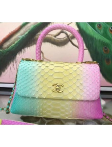 Chanel Rainbow Python Coco Flap Bag with Top Handle 2018