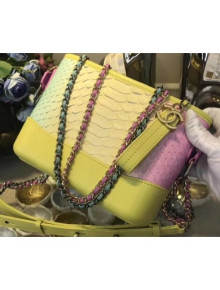 Chanel Rainbow Python Gabrielle Small Hobo Bag A91810 2018