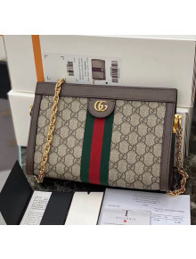 Gucci Ophidia GG Canvas Small Shoulder Bag 503877 2020