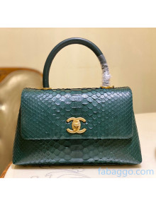 Chanel Python & Lambskin Leather Flap Bag With Top Handle A93050 Green 2020