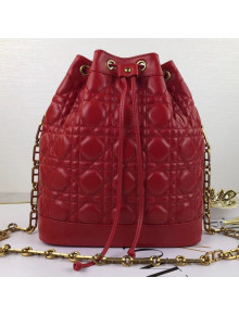 Dior Bucket Bag with Chain in Cannage Lambskin Red 2019