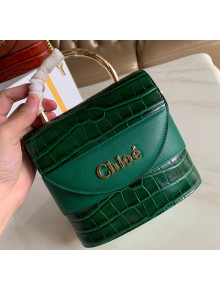 Chloe Small Aby Lock Top Handle Bag in Crocodile Embossed Calfskin Green 2020