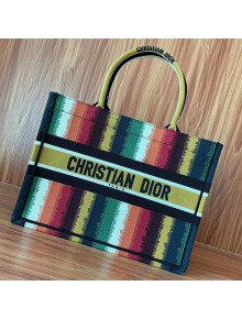 Dior Small Book Tote Bag in Multicolor D-Stripes Embroidery 2021