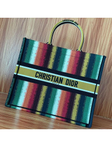 Dior Large Book Tote Bag in Multicolor D-Stripes Embroidery 2021