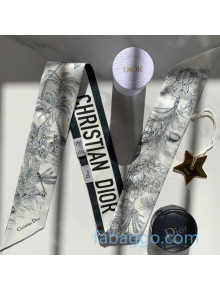 Dior Toile de Jouy Mitzah Twill Silk Bandeau Scarf Grey 2020