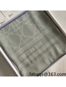 Dior Cannage Silk Scarf 70x200cm Grey 2021