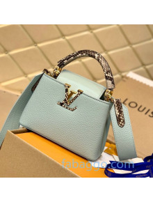 Louis Vuitton Capucines Mini with Snakeskin Charm M55922 Green 2020
