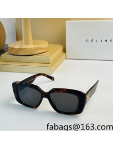Celine Sunglasses CL4S216 Black 2022 032939