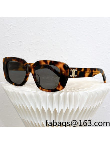 Celine Sunglasses CL4S216 Brown 2022 032943