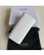 Celine Large Flap Wallet in Palm-Grained Calfskin White 2022 4148