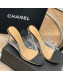 Chanel Transparent Wedge Slide Sandals Black 2022 032461