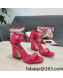 Dolce & Gabbana DG Patent Leather High Heel Sandals 10.5cm Dark Pink 2022