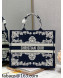 Dior Large Book Tote Bag in Blue and White Cornely-Effect Embroidery M1286 2022 22