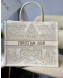 Dior Large Book Tote Bag in Gold Around the World Stella Embroidery M1286 2022 02