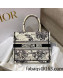 Dior Small Book Tote Bag in Latte White Multicolor Zodiac Embroidery 2022
