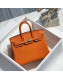 Hermes Birkin 25cm Bag in Togo Calfskin Orange/Gold 2022