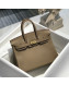 Hermes Birkin 25cm Bag in Togo Calfskin Coat Grey/Gold 2022