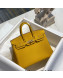 Hermes Birkin 25cm Bag in Togo Calfskin Jaune Amber Yellow/Gold 2022