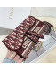 Dior Saddle Burgundy Oblique Canvas Pochette Pouch/Crossbody Bag 2020