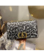 Dior Large Caro Bag in Gray Mizza Embroidery 2021 120226
