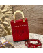 Fendi Mini Sunshine Shopper Tote Bag in Red Stitching Leather 2021 8376