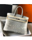 Hermes Birkin 30cm Bag in Lizard Embossed Calf Leather Grey/White/Silver 2022