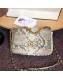Chanel Snakeskin Small Flap Bag AS1160 Gray 2022