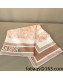 Dior Toile de Jouy Reverse Silk Sqaure Scarf 90x90cm Pink 2022 26